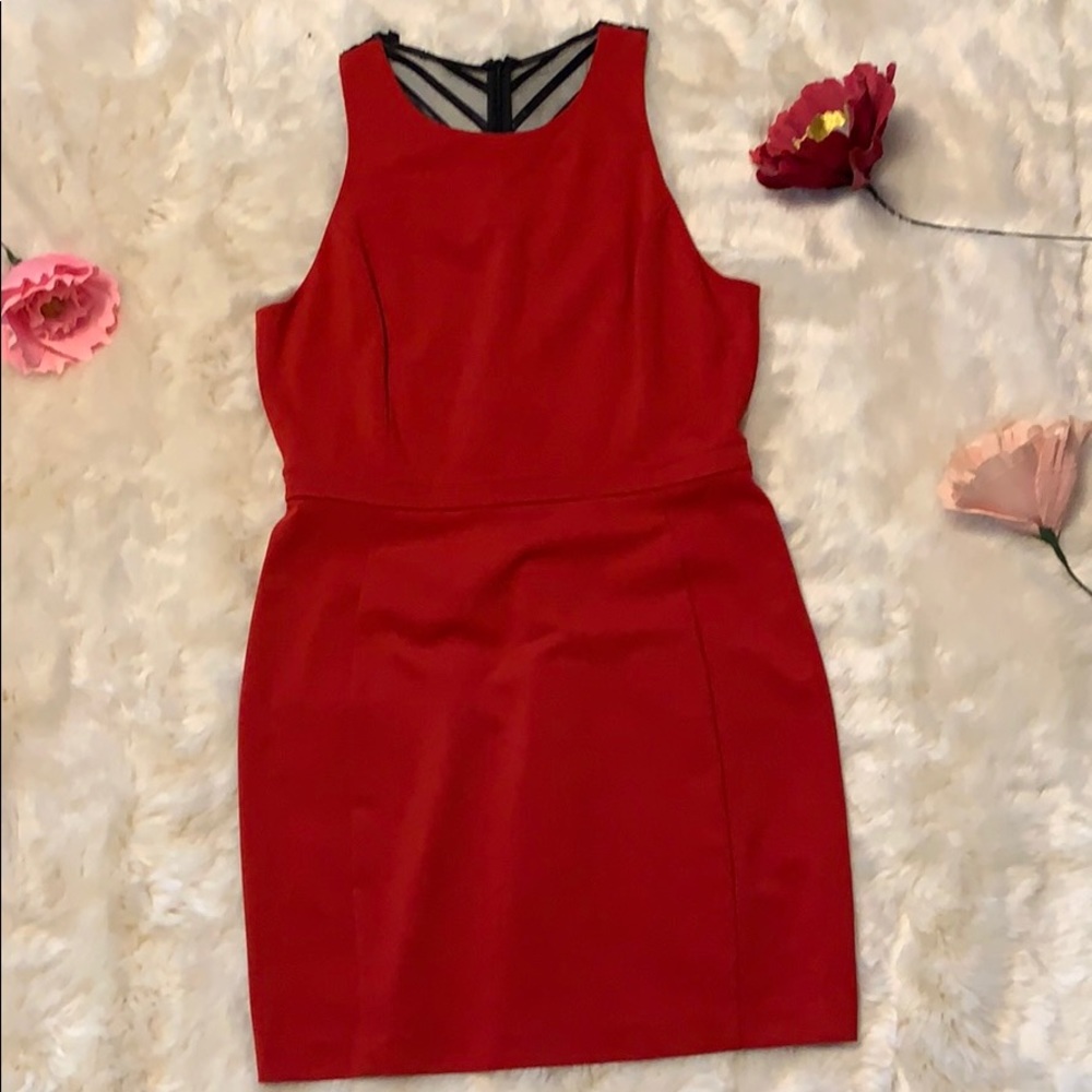 Fable Red and Black Mini Dress